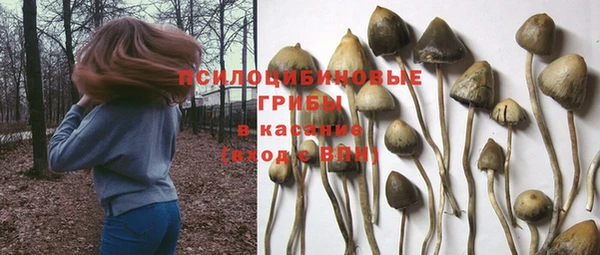 стафф Балабаново