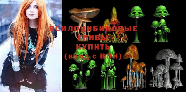 гидра Аркадак